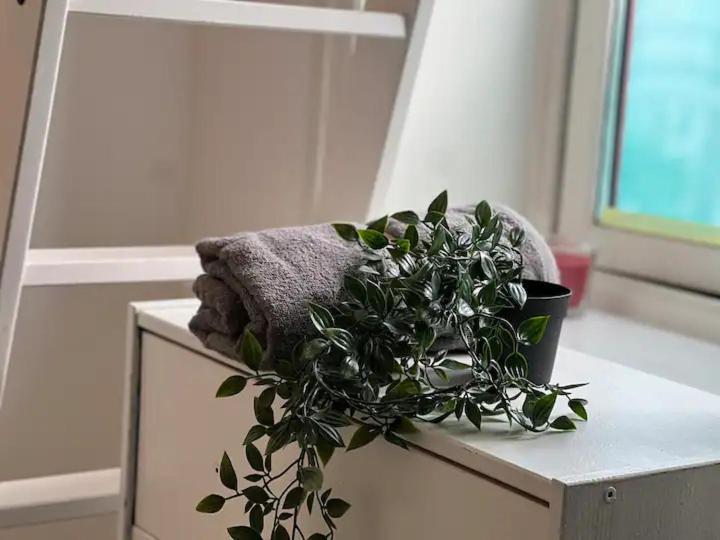 Cozy Room With Smart Solutions Grunerlokka Central Happy Days 奥斯陆 外观 照片